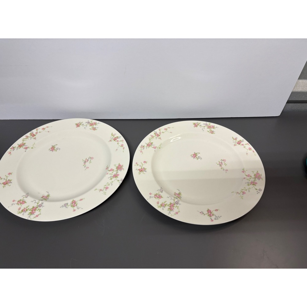 Theodore Haviland New York Pink Spray Dinner Plates‎ Set of 2 Floral 10.5"